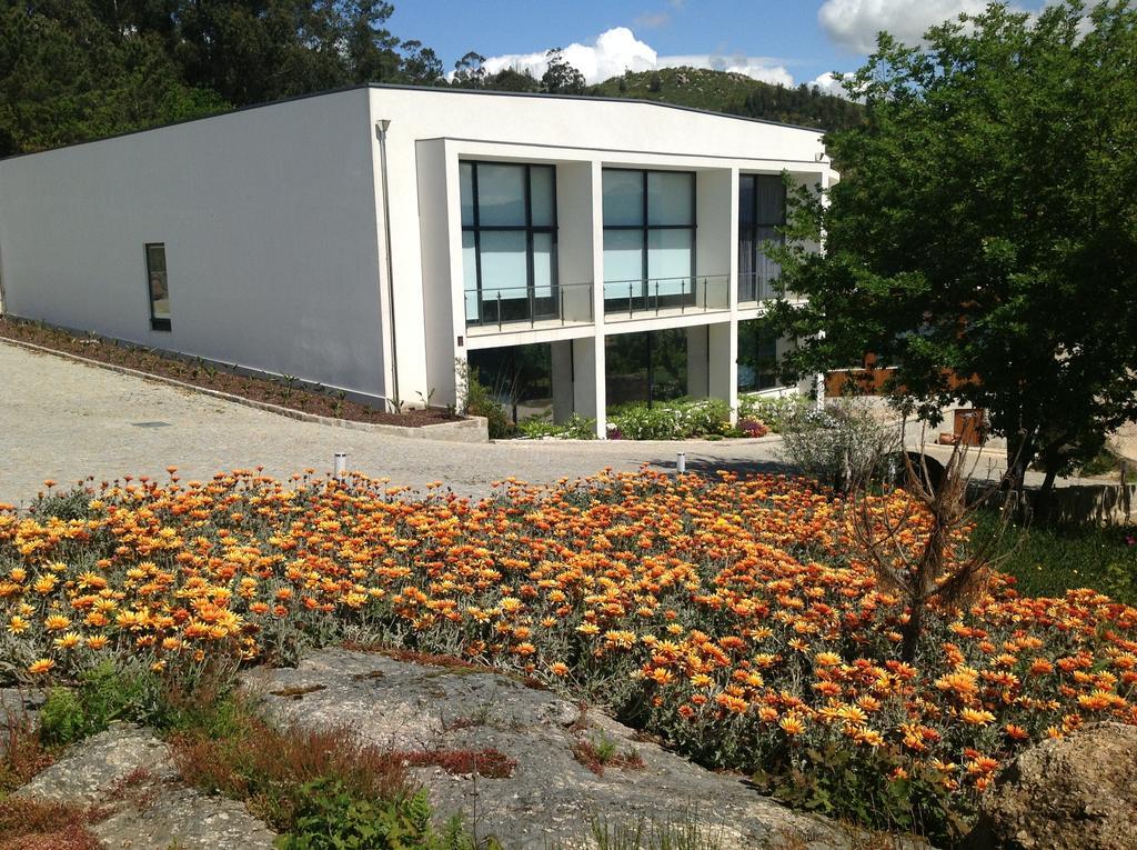 Douro Vale De Campos