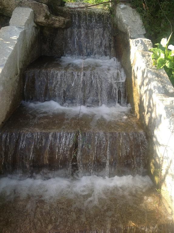 Douro Vale De Campos Penafiel
